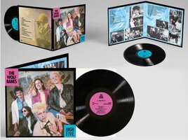 High Five Vinyl (pre-order pick-up@show)